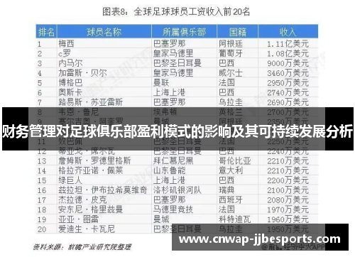 财务管理对足球俱乐部盈利模式的影响及其可持续发展分析 财务管理对足球俱乐部盈利模式的影响及其可持续发展分析