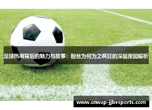 足球热潮背后的魅力与故事:粉丝为何为之疯狂的深层原因解析 足球热潮背后的魅力与故事:粉丝为何为之疯狂的深层原因解析