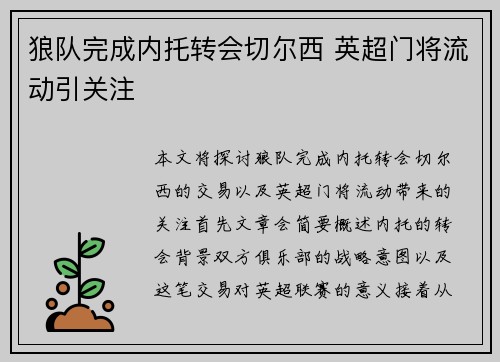狼队完成内托转会切尔西 英超门将流动引关注